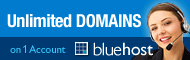 bluehost-banner
